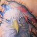 tattoo galleries/ - patriotic eagle tear out - 56774